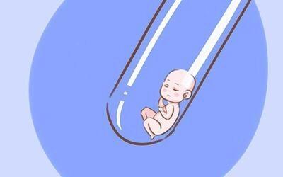 关于私人志愿者供卵助孕包生儿子